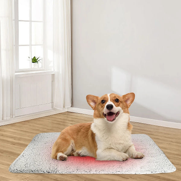 selbsterwärmende Kuschelmatte für Tiere